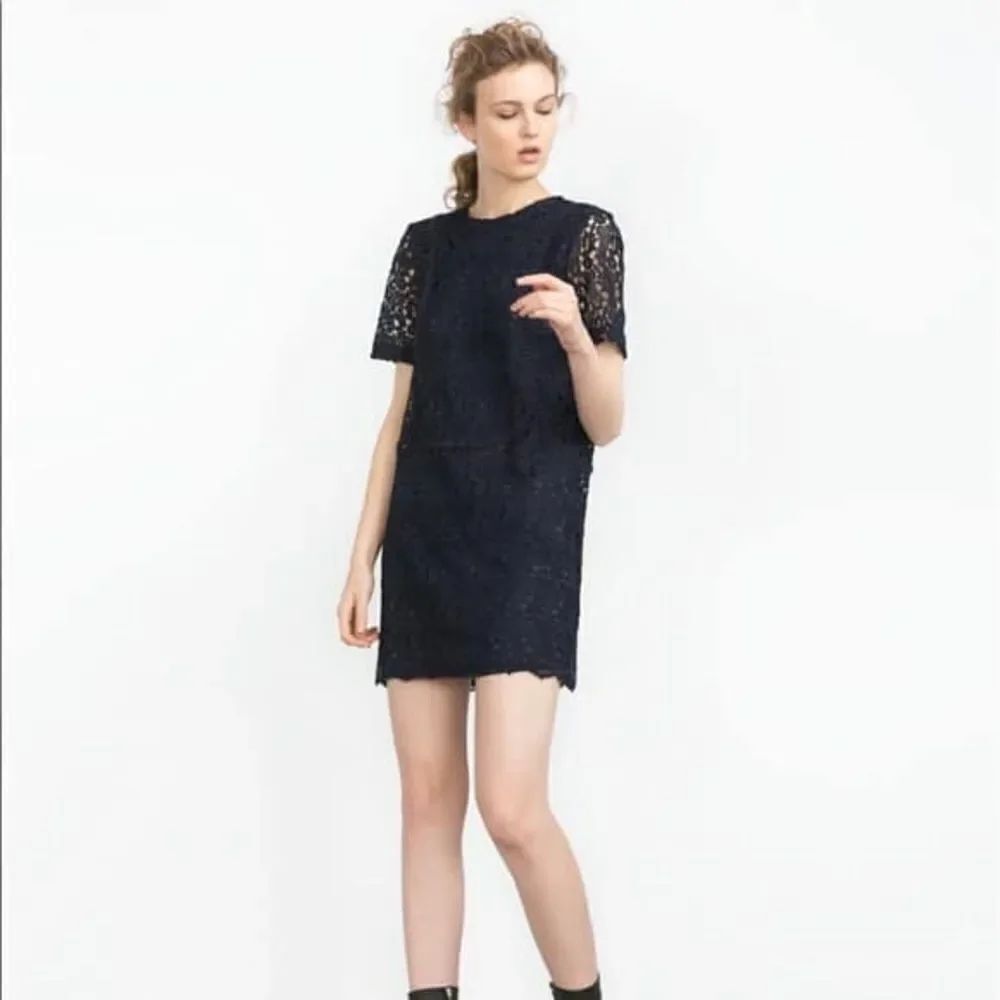 Zara basic collection lace cocktail dress